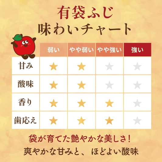 有袋ふじ 家庭用 - 旬果365