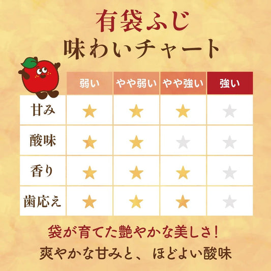 有袋ふじ 家庭用 - 旬果365