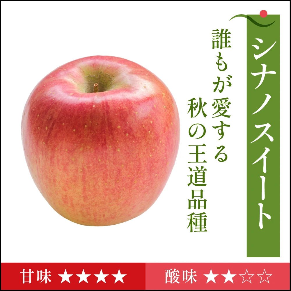 【10月下旬採れたて発送】シナノスイート　家庭用 - 旬果365