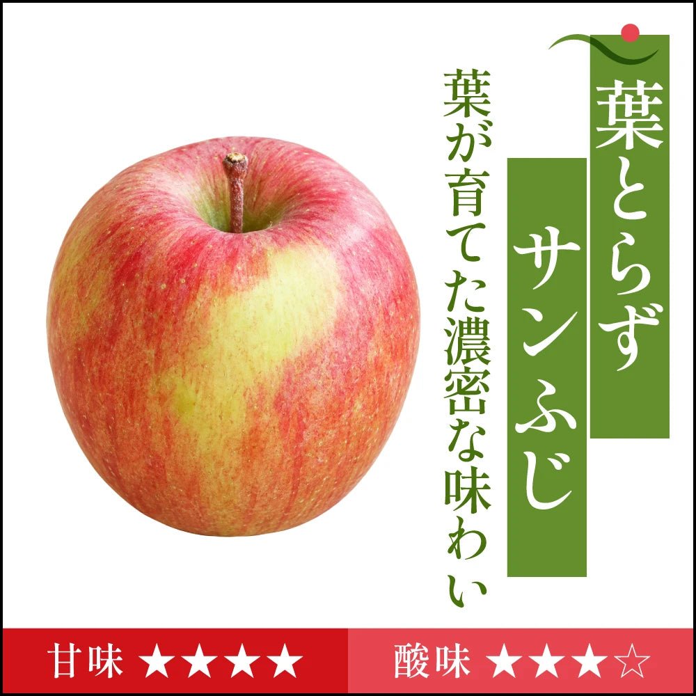 【11月上旬採れたて発送】葉とらずサンふじ　家庭用 - 旬果365