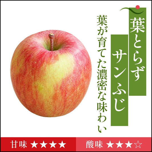 【11月上旬採れたて発送】葉とらずサンふじ　家庭用 - 旬果365