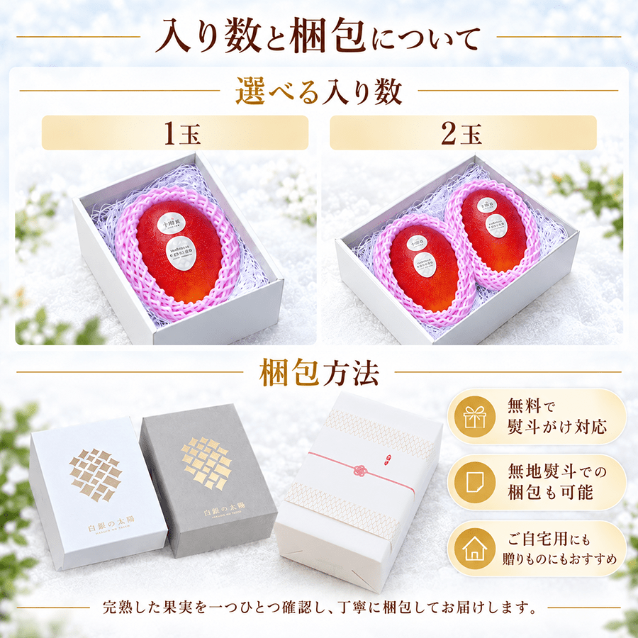 【11月中旬〜1月上旬完熟採れたて発送】北海道十勝産 マンゴー 白銀の太陽 - 旬果365