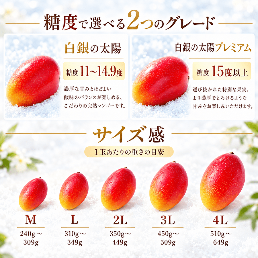 【11月中旬〜1月上旬完熟採れたて発送】北海道十勝産 マンゴー 白銀の太陽 - 旬果365