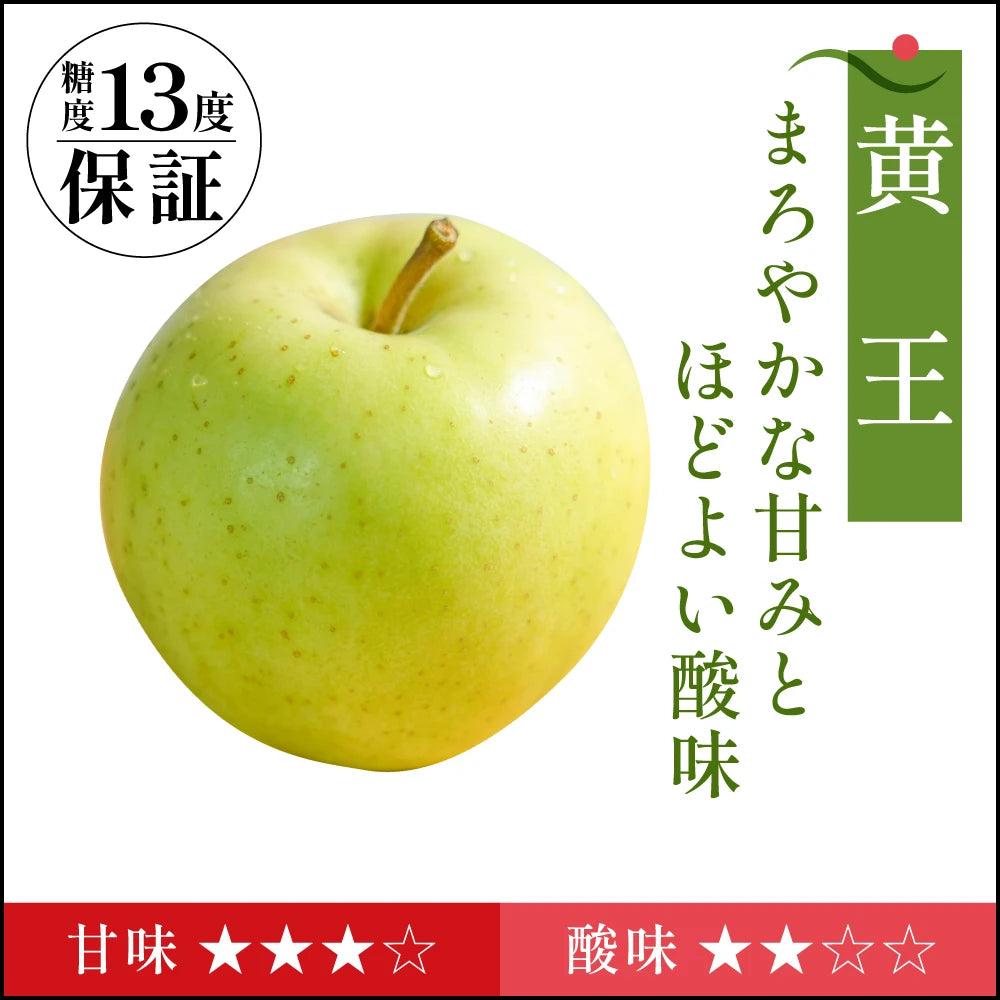 【糖度13度保証】黄王　贈答用