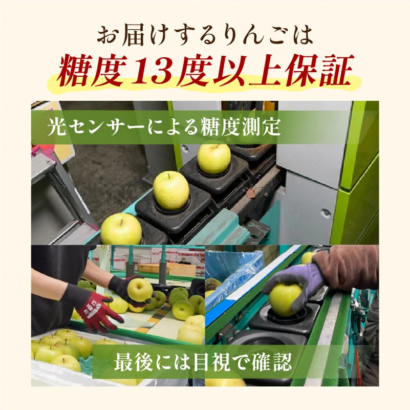 【糖度13度保証】黄王　贈答用