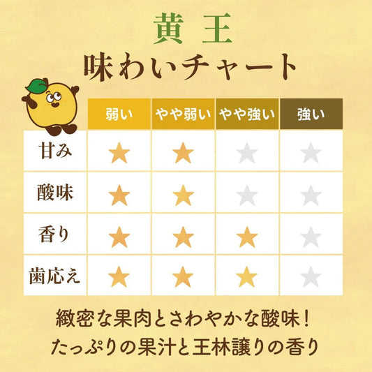 【8月下旬採れたて発送】黄王　家庭用 - 旬果365