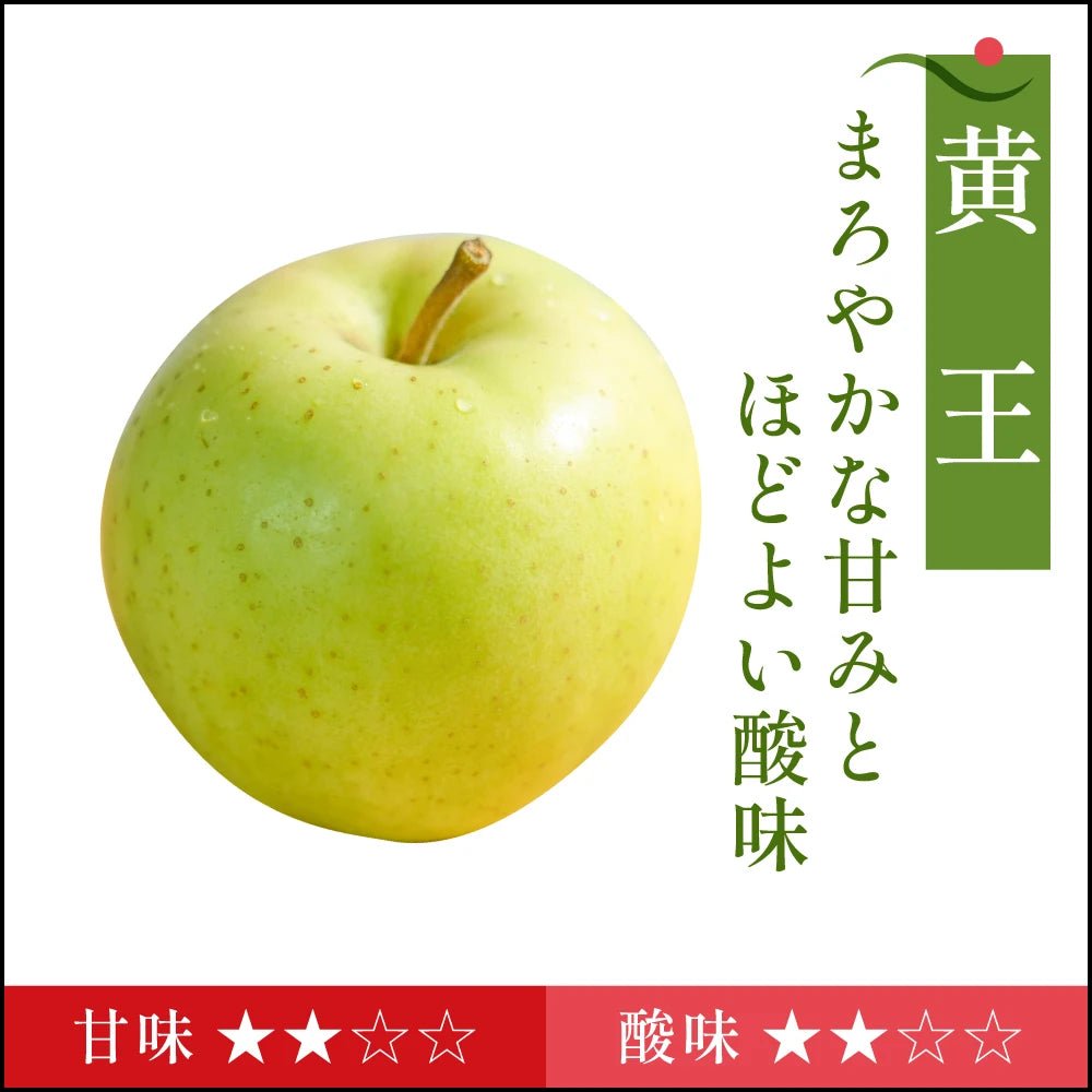 【8月下旬採れたて発送】黄王　家庭用 - 旬果365