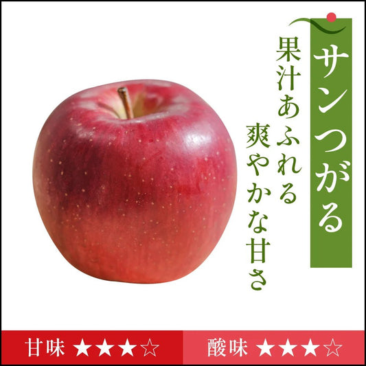 【8月下旬採れたて発送】サンつがる　家庭用 - 旬果365