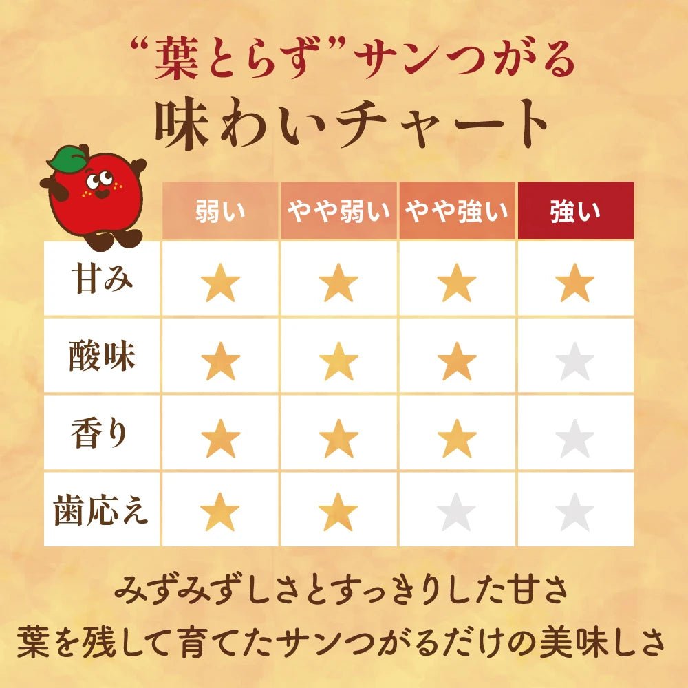 【9月上旬採れたて発送】葉とらずサンつがる　家庭用 - 旬果365