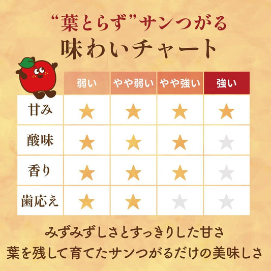 【9月上旬採れたて発送】葉とらずサンつがる　家庭用 - 旬果365