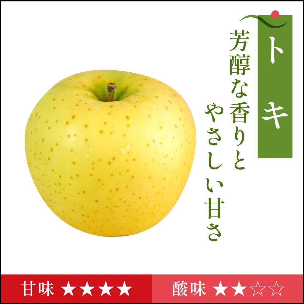 【9月下旬採れたて発送】トキ　家庭用 - 旬果365