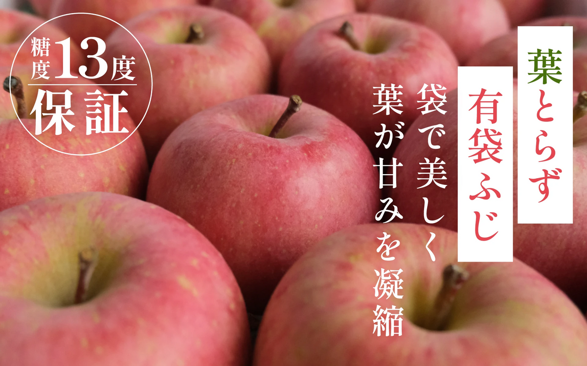 バナー