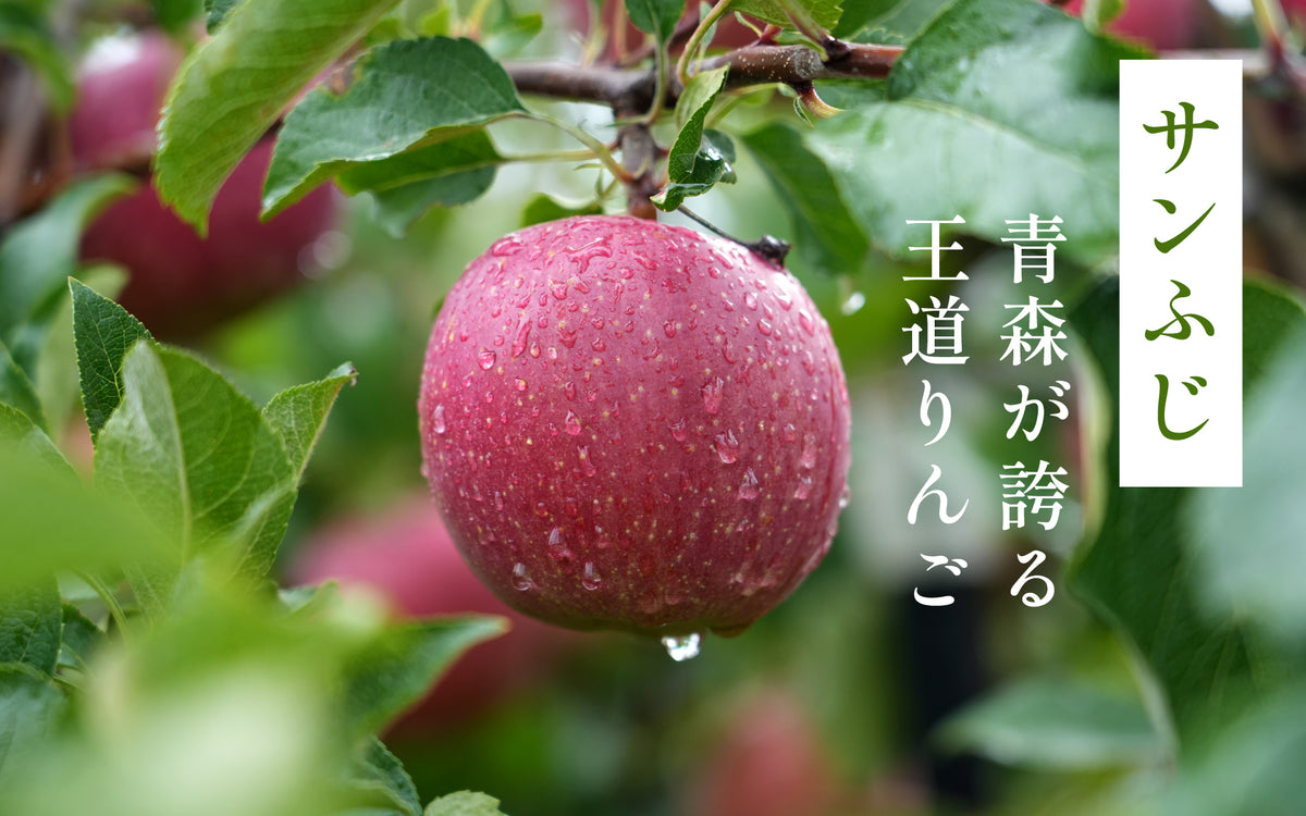 バナー