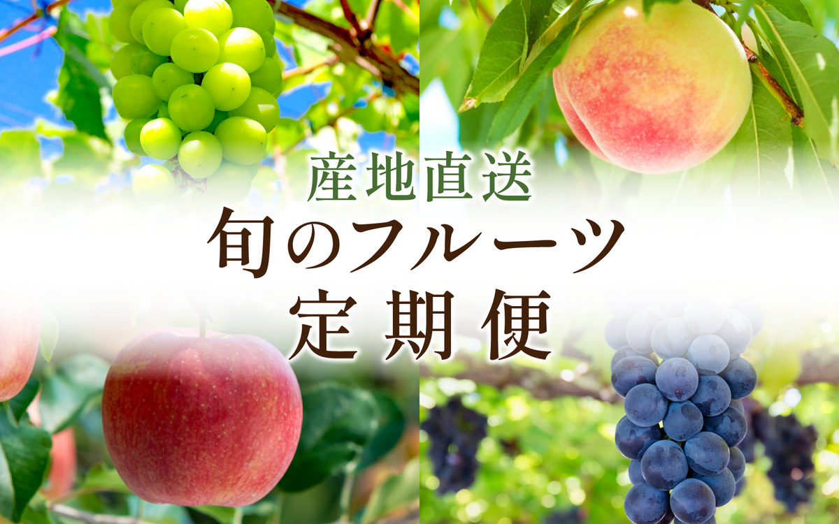バナー