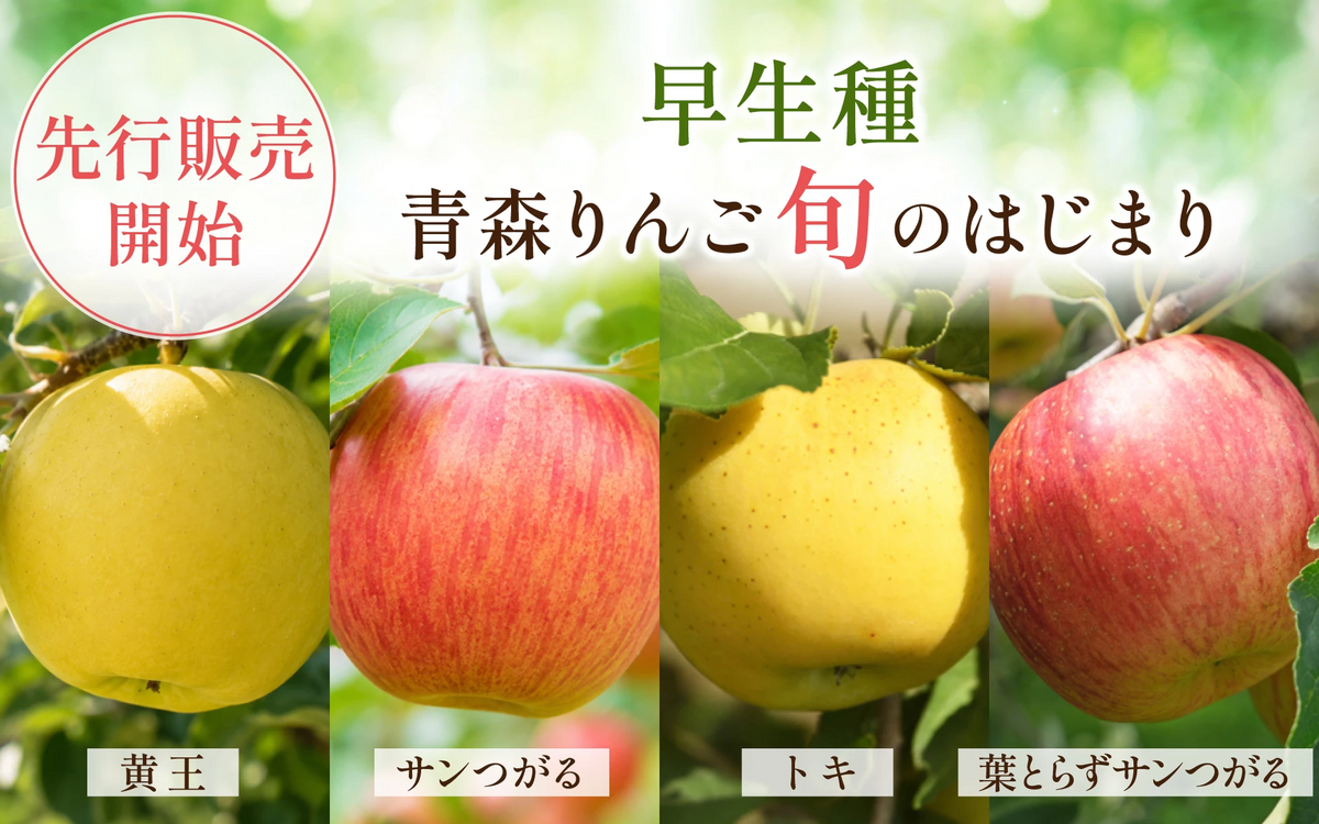 バナー