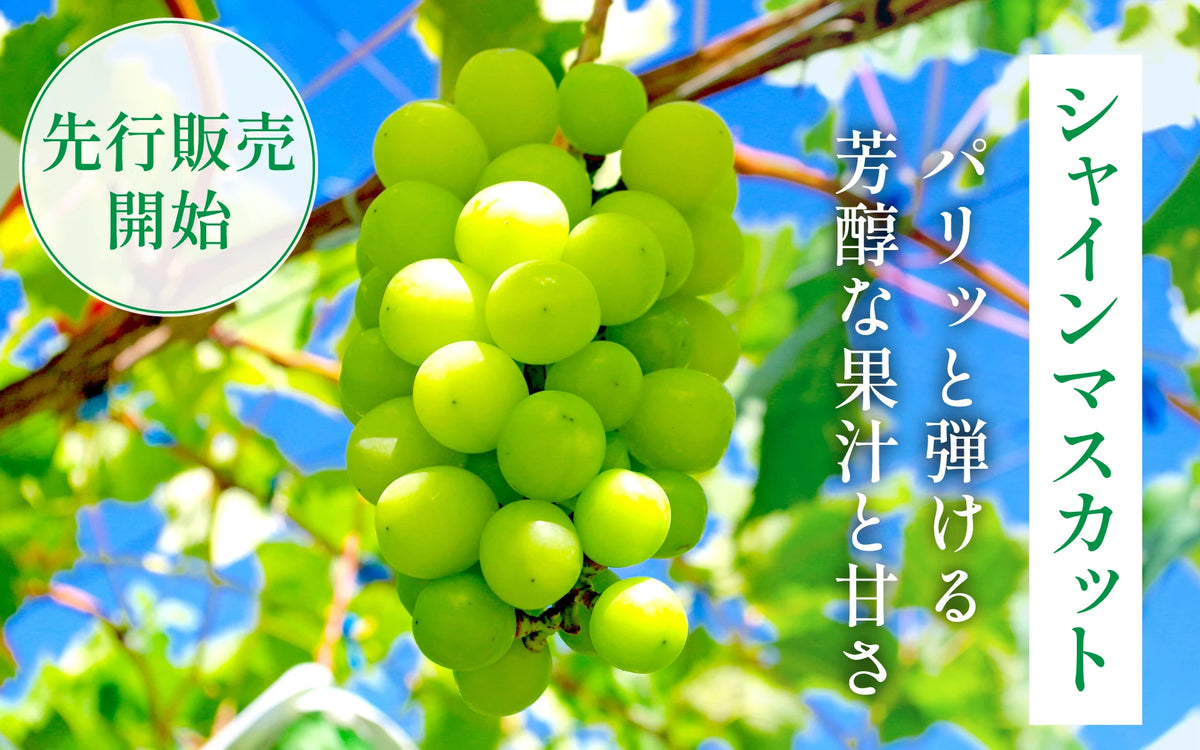 バナー