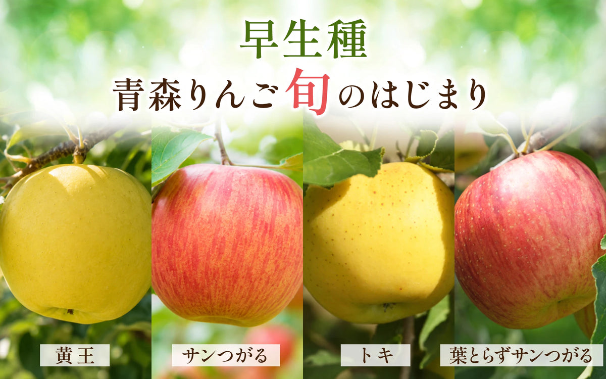 バナー