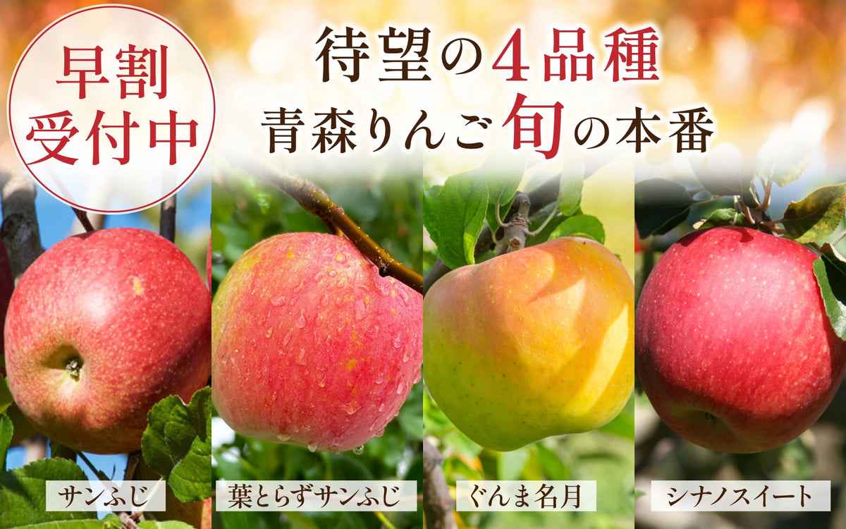 旬果365｜青森りんご・旬のフルーツ産地直送通販