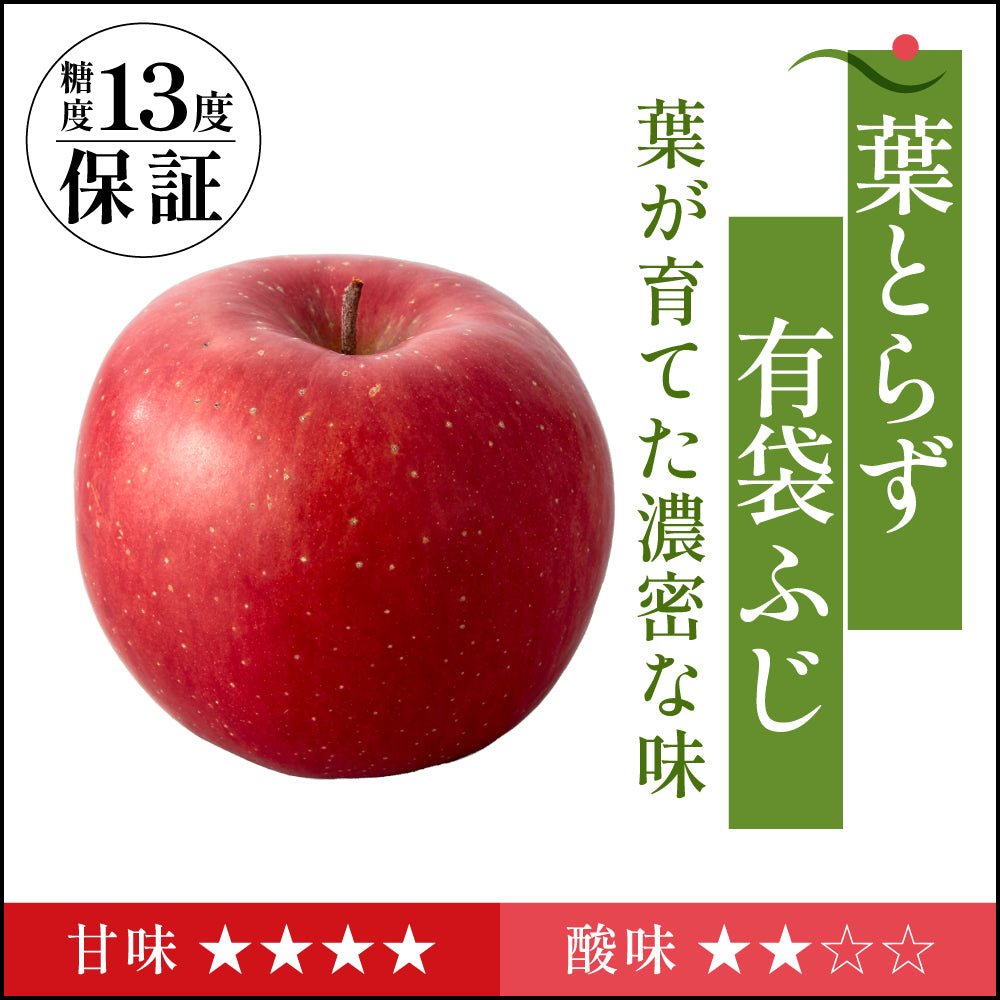 葉とらず有袋ふじ　家庭用 - 旬果365