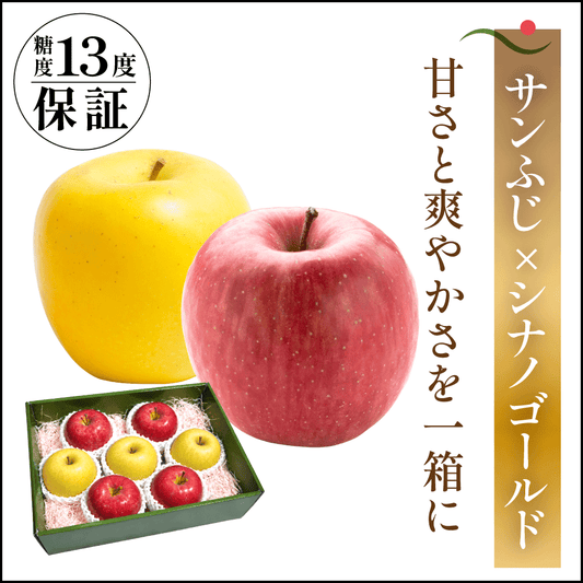 サンふじ×シナノゴールド　贈答用 - 旬果365