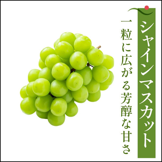シャインマスカット - 旬果365