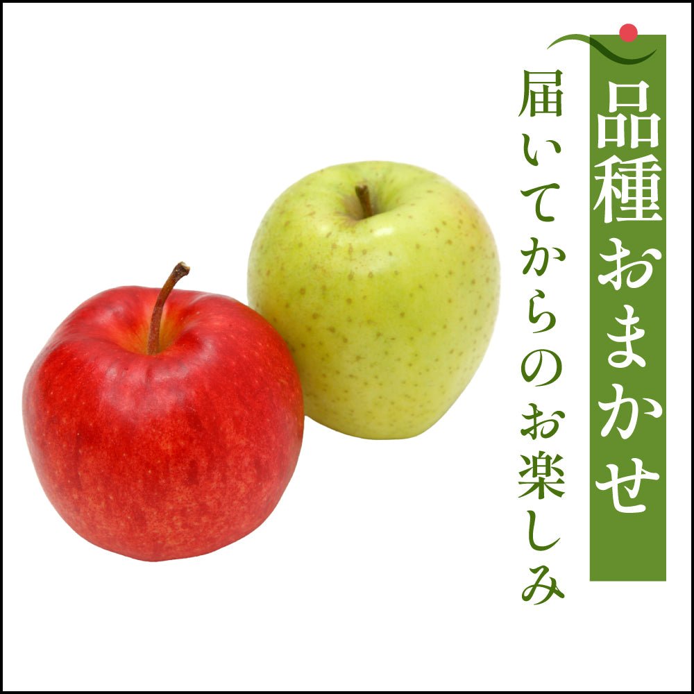品種おまかせ　家庭用 - 旬果365