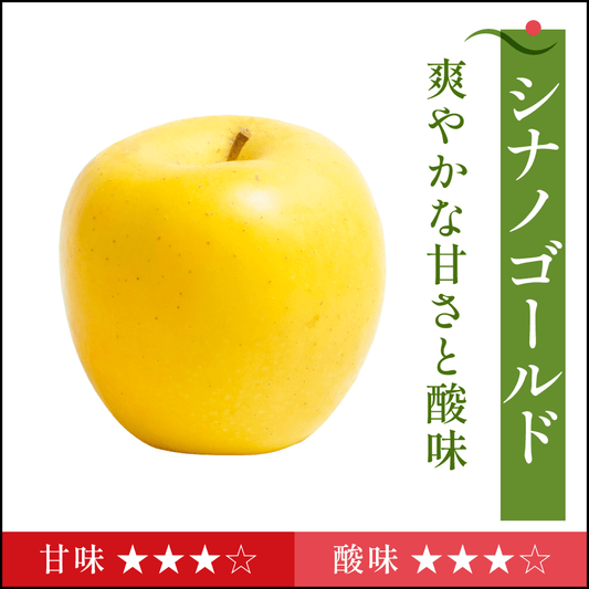 シナノゴールド　家庭用 - 旬果365
