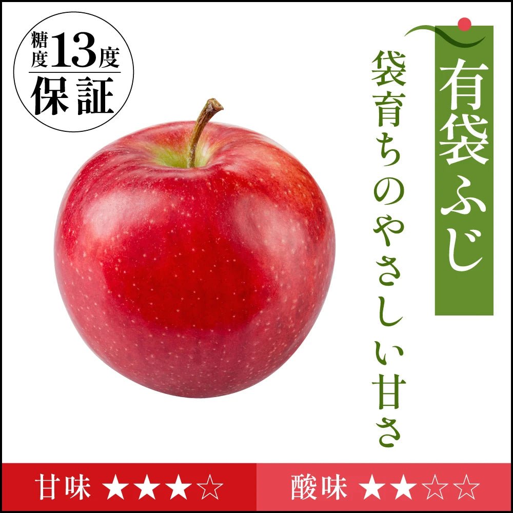 有袋ふじ　家庭用 - 旬果365