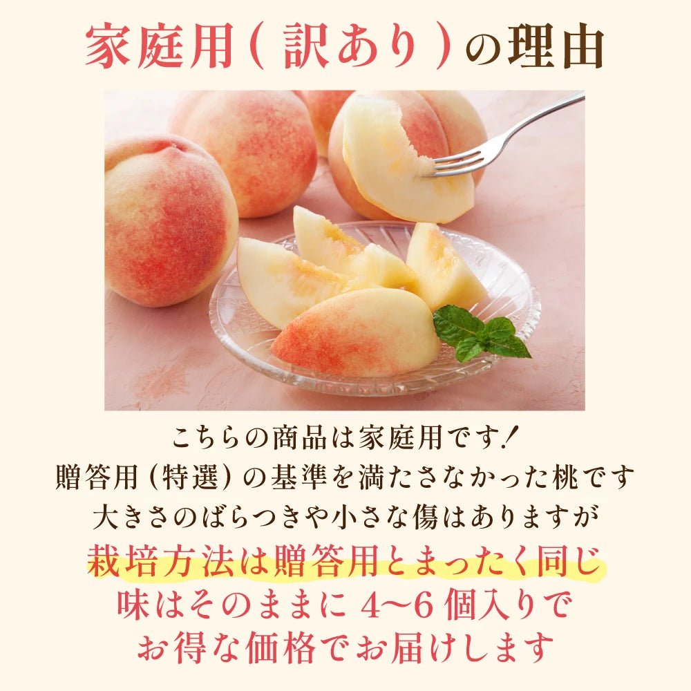 【採れたて発送】白桃　家庭用 - 旬果365