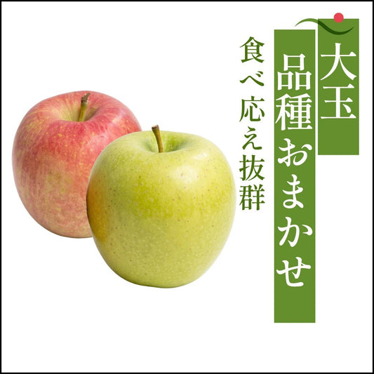 品種おまかせ 大玉　家庭用 - 旬果365