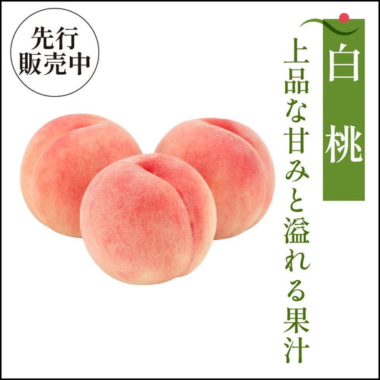 白桃　家庭用 - 旬果365